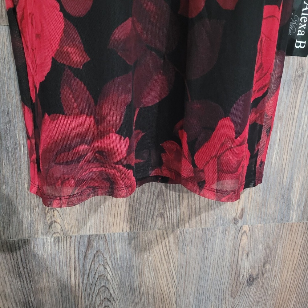 VTG Alexa B Nites Dark Romantic Dress Size 10 Sheer Mesh Roses Whimsigoth Lined - Picture 6 of 12